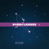 属牛的跟什么配婚姻更好，属牛和属什么的最合适
