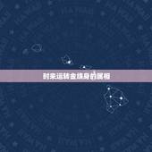时来运转金绕身的属相，时来运转必中金打一生肖