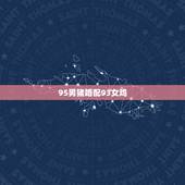 95男猪婚配93女鸡，95男猪与93女鸡何时结婚最好？