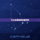 什么东西招桃花最厉害，佩戴什么可以招桃花