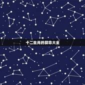 十二生肖的算命大全，生肖配对算命