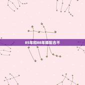 85年和88年婚配合不，男85年属牛跟女88年属龙相配吗？