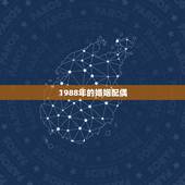 1988年的婚姻配偶，1988年属龙的婚配人在哪方