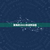 属兔的2022年运势运程，1987年属兔人2022年运势？
