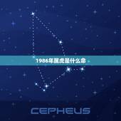 1986年属虎是什么命，86年属虎人最穷不过36岁