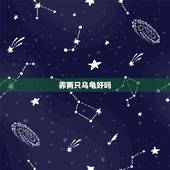 养两只乌龟好吗，乌龟养几只比较吉利？