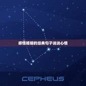 感悟婚姻的经典句子说说心情，夫妻之间感悟经典句子