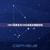 1991年男羊与1996年鼠女婚配好吗，91年属羊男和96年属鼠女的婚
