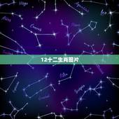 12十二生肖图片，12生肖顺序年龄表