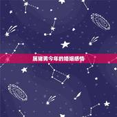 属猪男今年的婚姻感情，属猪女和属猪男的婚姻怎么样？