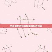 生肖婚配对照表属相婚配对照表，男女属相婚配表大全