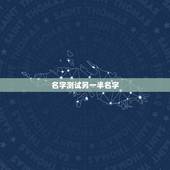 名字测试另一半名字，测试你的另一半叫什么名字