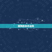 属狗的本月运势，属狗2023年运势及运程每月运程