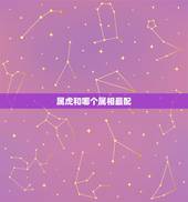属虎和哪个属相最配，属老虎的和什么属相最配