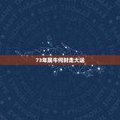 73年属牛何时走大运，属牛73年三月二十九财运不怎么好