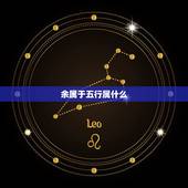 余属于五行属什么，五行属木属火的男孩名字