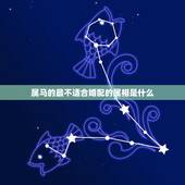 属马的最不适合婚配的属相是什么，属马和什么属相不合