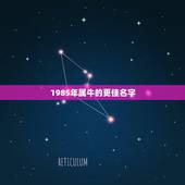 1985年属牛的更佳名字，属牛最吉利的微信名字