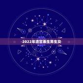 2022年清宫表生男生女，2022年清宫生男女图