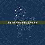 属羊和属马的结婚要注意什么属相，属羊和属马的结婚好吗