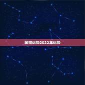属狗运势2022年运势，二零二零年属狗人运势