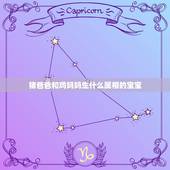 猪爸爸和鸡妈妈生什么属相的宝宝，猪爸爸，兔妈妈，怀了鸡宝宝好吗？ 宝宝