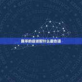 属羊的应该配什么最合适，87年属兔33岁有一劫