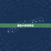 属蛇44岁后命运，1977年属蛇45岁走大运