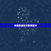 婚姻星座配对爱情配对，周易八字合婚免费测试