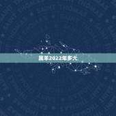 属羊2022年多大，2022年运势及运程