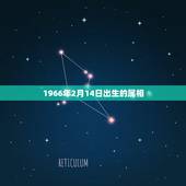 1966年2月14日出生的属相，1966年农历2月14日申时出的男性命