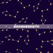 属虎的遇到属猪的好不好，属虎的和属猪的财运怎么样