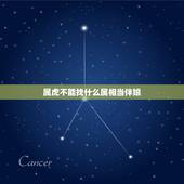 属虎不能找什么属相当伴娘，属虎的新娘不能找属啥的伴娘
