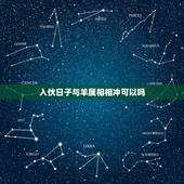 入伙日子与羊属相相冲可以吗，我是1979年02月属羊，老公是1979年