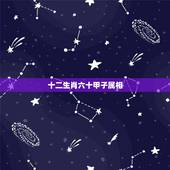 十二生肖六十甲子属相，六十甲子在十二生肖的含义