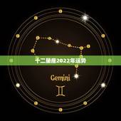 十二星座2022年运势，2022年必离婚星座