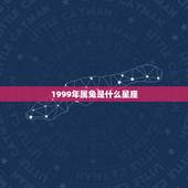 1999年属兔是什么星座，1999年出生的人是什么星座