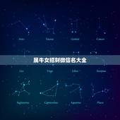 属牛女招财微信名大全，属牛的起什么微信名最好