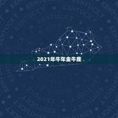 2021年牛年金牛座，2021年是什么牛五行属什么