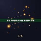 属猴本命佛是什么佛 生肖猴本命佛