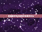 属相配对中小吉和中吉表示什么，婚姻八字属相搭配中吉是什么意思