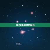 2022年最红的网名，2021年最红的网名