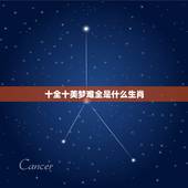 十全十美梦难全是什么生肖，十全十美梦难全，歌声一曲暖人心。送：金光。