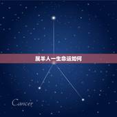 属羊人一生命运如何，属羊人一生命运爱情