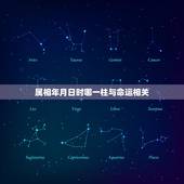 属相年月日时哪一柱与命运相关，属羊的是哪年出生