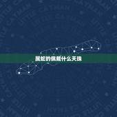 属蛇的佩戴什么天珠，属牛带鸡眼天珠