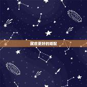 属虎更好的婚配，虎的婚姻更佳配偶是什么属相