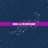 属属2022年运势及运程，属鼠2021年运势及运程每月运程