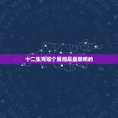 十二生肖哪个属相是最聪明的，什么属相的人最聪明？