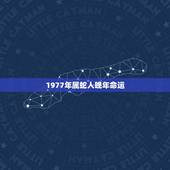 1977年属蛇人晚年命运，1977年属蛇人一生运程